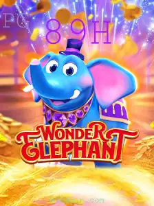 WonderElephant: Descubra as Aventuras de um Elefante Encantador